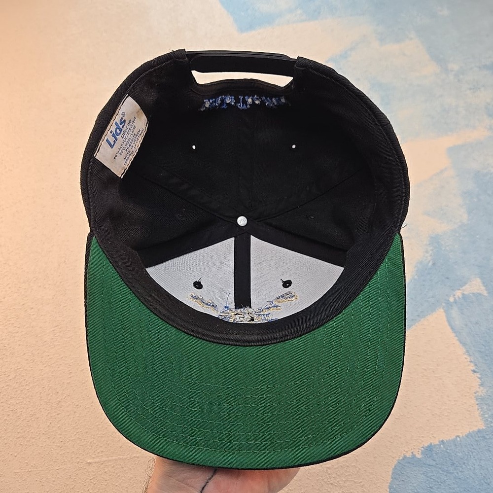 Bluejay The Bird Lids Black Snapback Cap Birds The Word Embroidery Baseball Hat - Picture 4 of 5